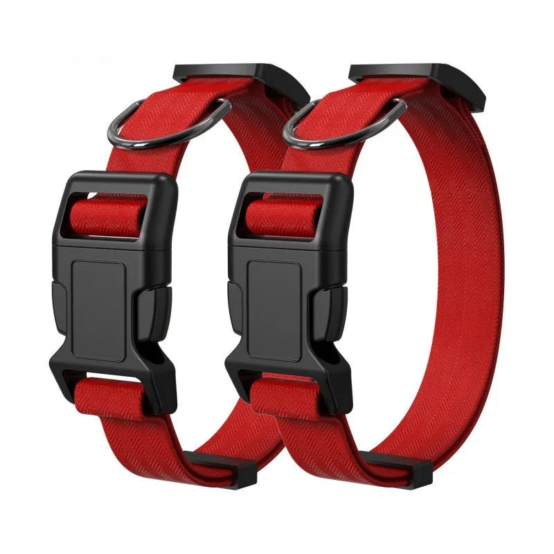 Nylon dog and cat collar in black with buckle closure size S for small pets 1 to 3 kg