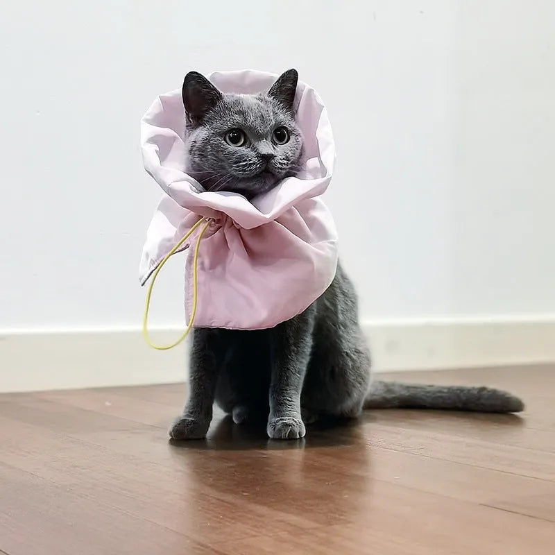 Soft adjustable polyester cat recovery collar in light blue shown on a model.
