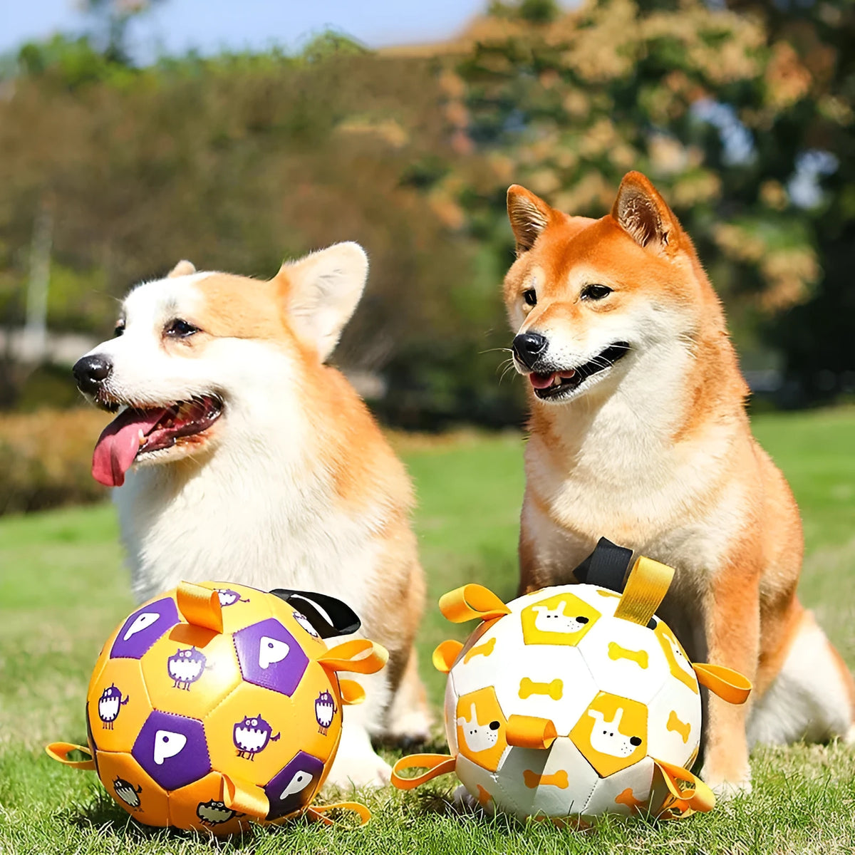 Interactive PU dog football with nylon edge and strap, available in 15cm and 19cm sizes for training play