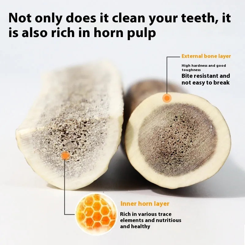 Natural antler dog chew in three sizes – small 36g, medium 76g, large 126g for bite resistant teeth cleaning