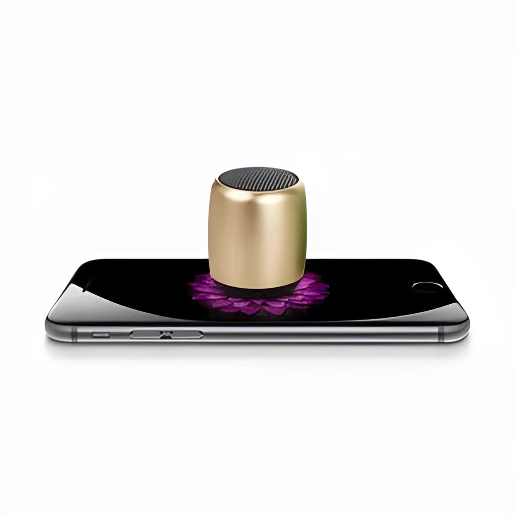 Portable outdoor mini Bluetooth speaker in black, blue, gold, or pink colours