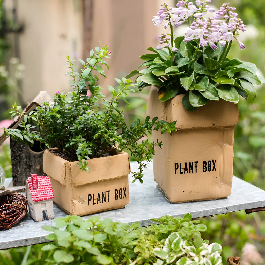 Cement paper box style flowerpot with bottom drainage holes for indoor planting