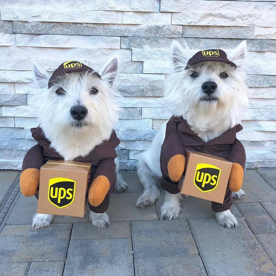 Funny express delivery pet dog cat clothes in brown or sky blue, sizes S M L with chest circumference 40-70cm