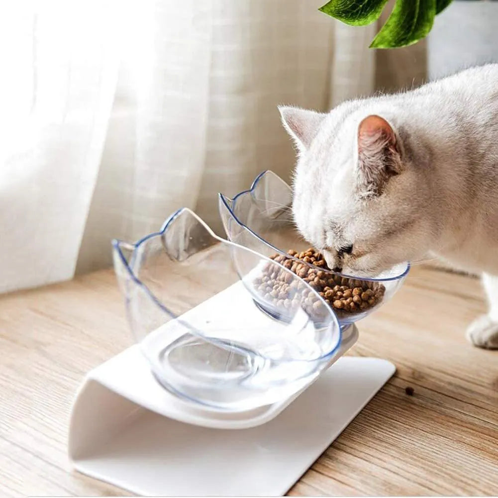 Non slip double cat bowl with raised stand, 15° tilted transparent pet feeder for cats and dogs