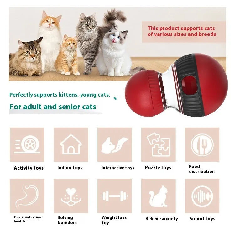 Plastic rotating cat toy with sound mechanism and colourful super ball for interactive feline play