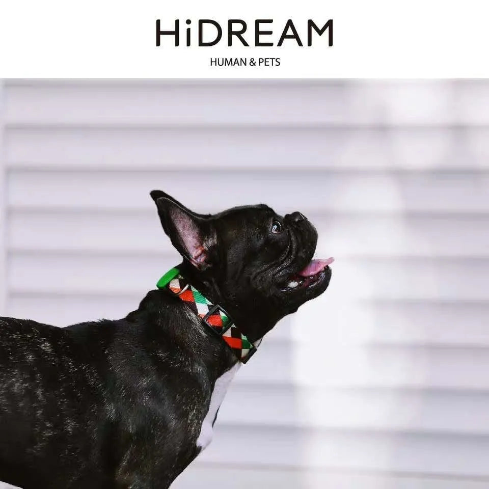 Nylon pet traction collar in Sunrise, Bobby, Hill mark or Florida, shown in S, M or L size