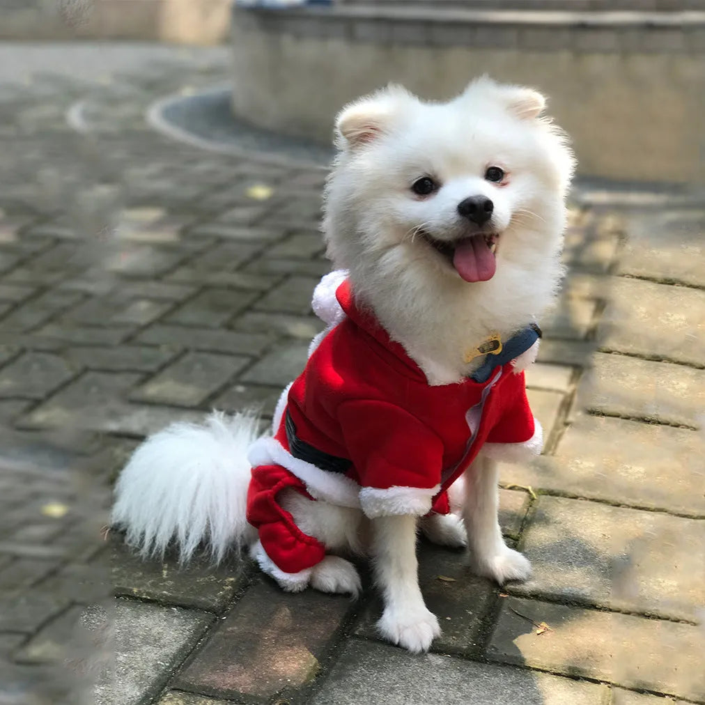 Red Christmas dog jumper in wool and cotton with fleece, four-legged pet clothing, sizes XS to XL