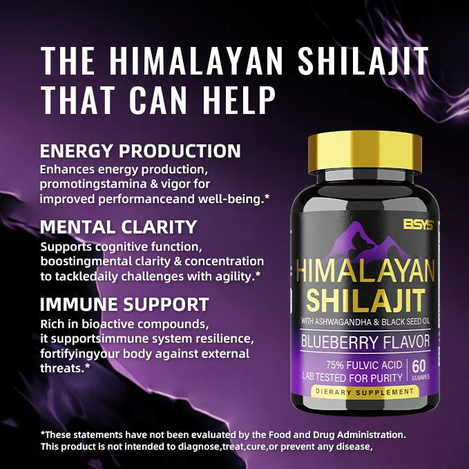 BSYS Shilajit Gummies 60's bottle containing 60 chewable shilajit gummies