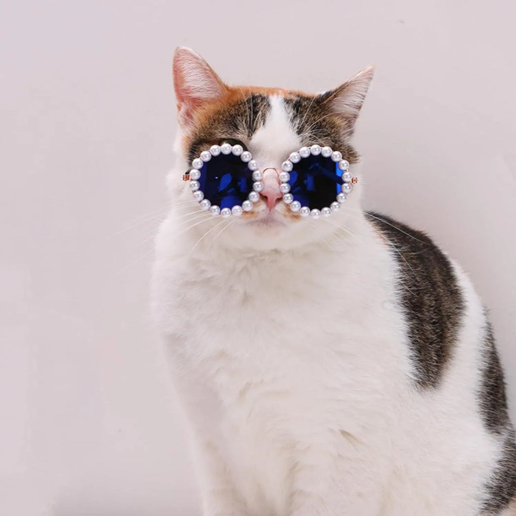 Pearl-rimmed round sunglasses for a cat or dog, shown in blue, with size options of 11cm and 8cm.