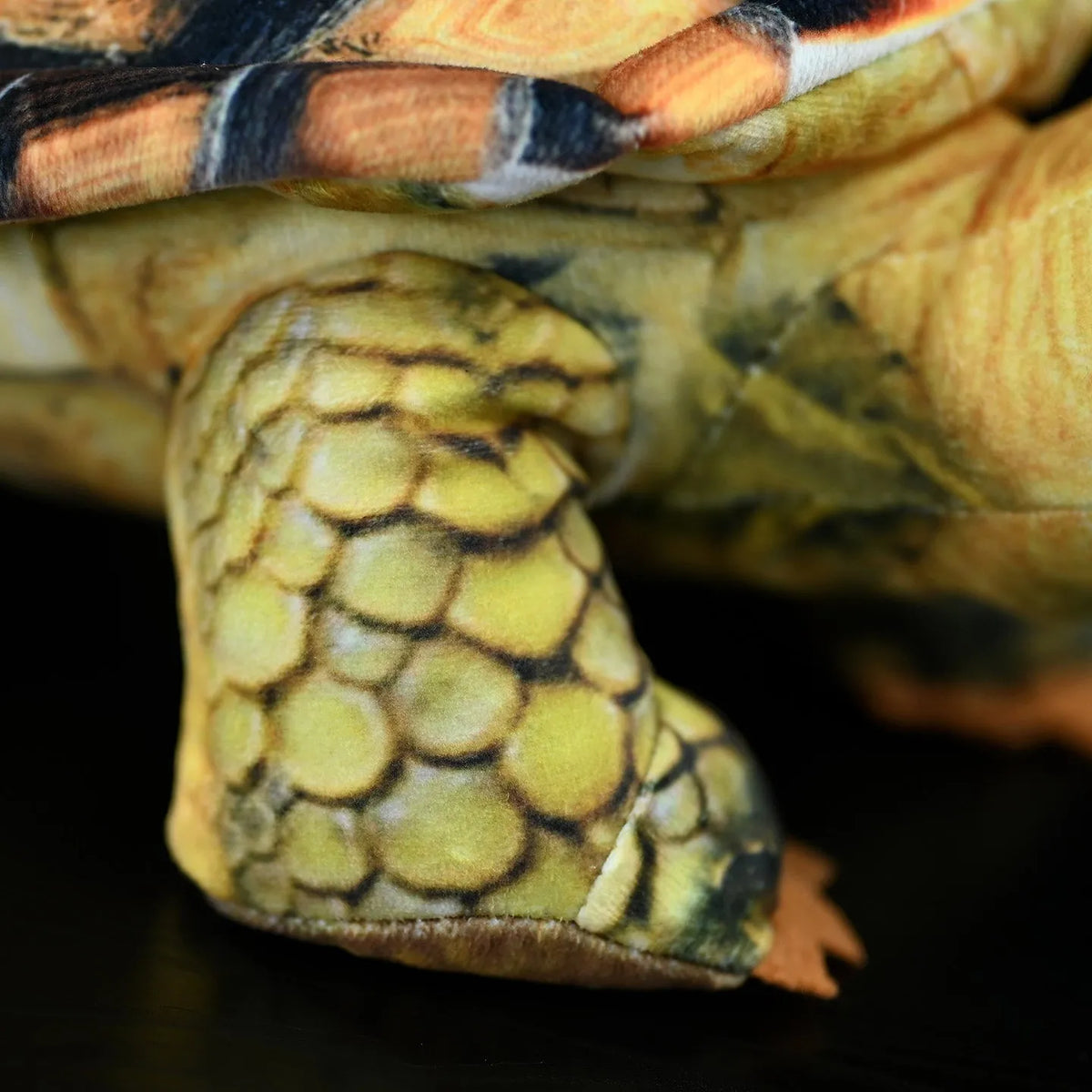 35cm simulation tortoise plush toy in tortoise colour showing realistic design and soft texture
