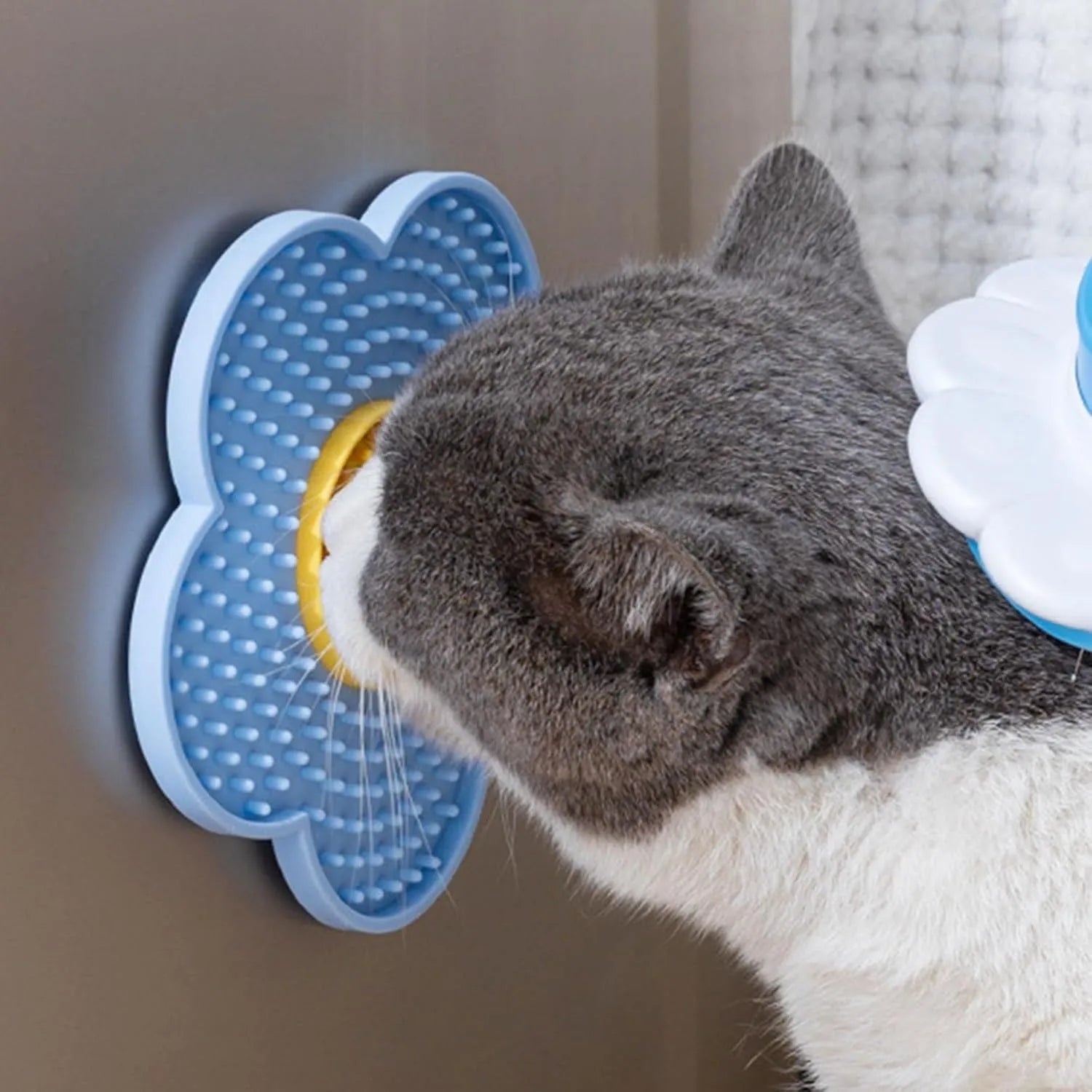 Flower-shaped silicone lick mat for cats and dogs with suction cups on the base, shown in a choice of colours.
