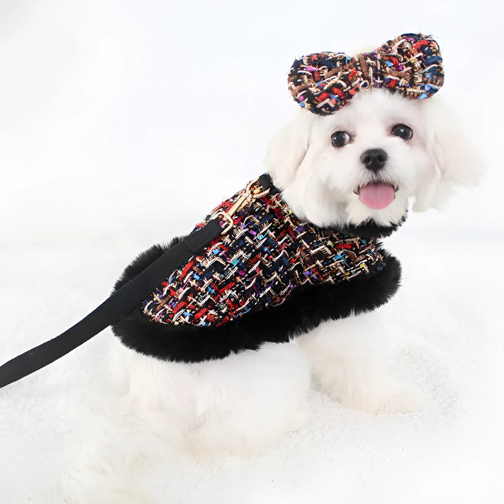 Dog wearing a decorative cloak with a chest strap and attached lead rope