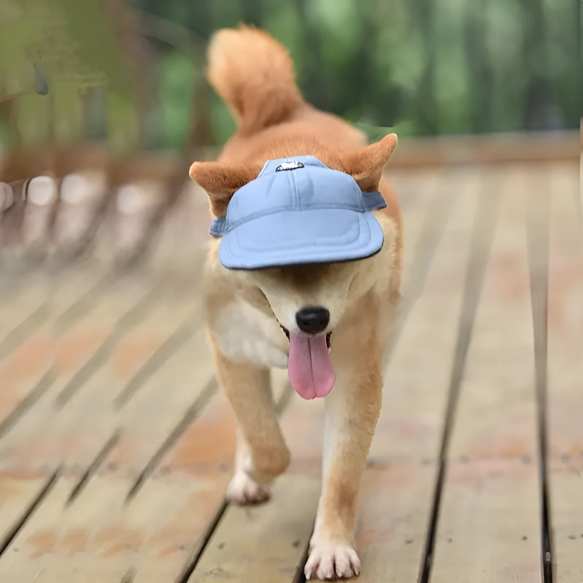 Sun-proof dog and cat baseball cap in pink, red, blue, denim blue or cowboy black, sizes S to L