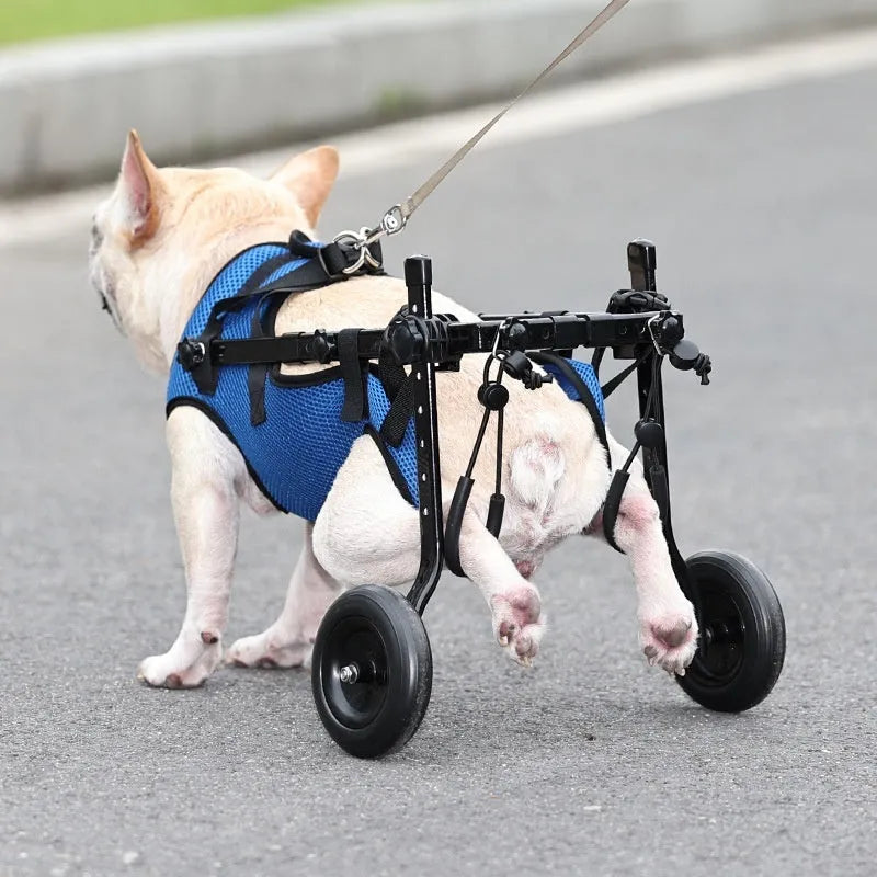 Blue dog wheelchair with aluminium alloy frame and polyester support, sizes XS to M
