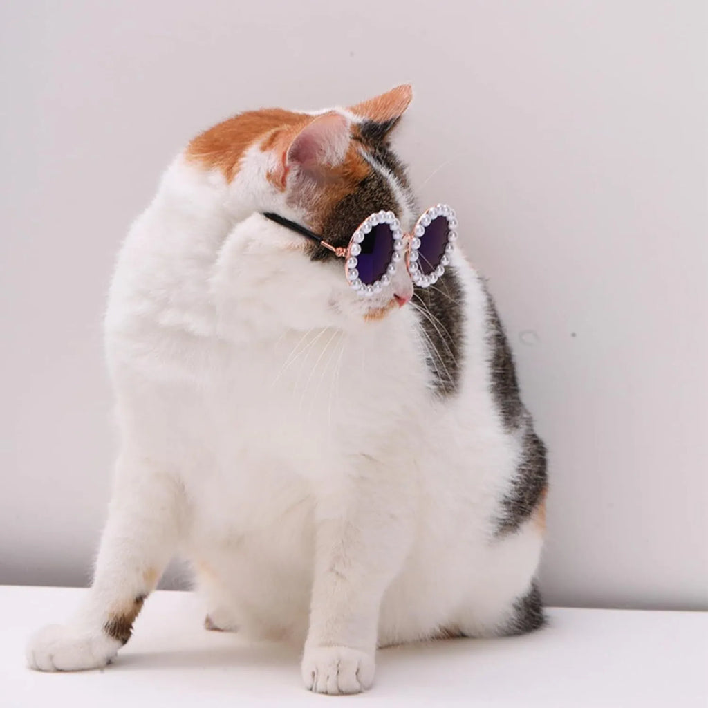 Pearl-rimmed round sunglasses for a cat or dog, shown in blue, with size options of 11cm and 8cm.