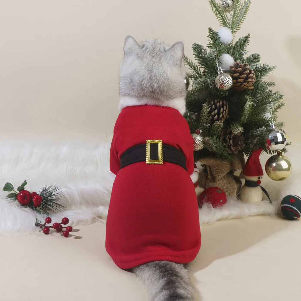 Red polyester Christmas pet clothing for cats and dogs on a plain background