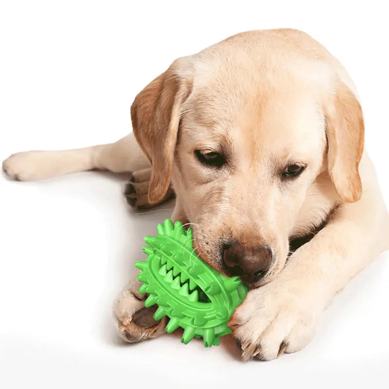 Green cactus-shaped dog chew toy with textured cleaning bumps and treat channels
