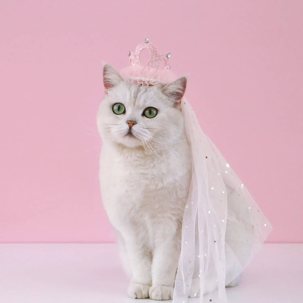 Beige and pink pet crown headdress with veil for cats at weddings and birthdays