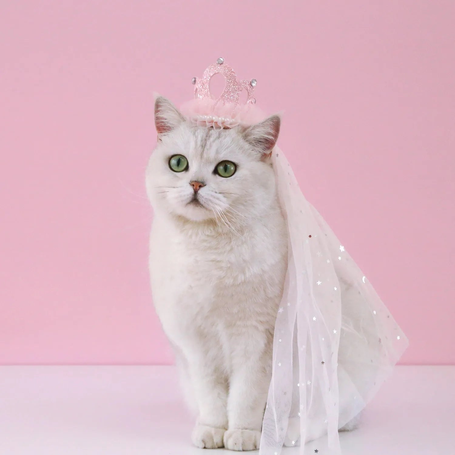 Beige and pink pet crown headdress with veil for cats at weddings and birthdays