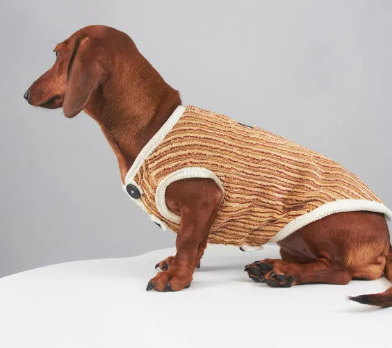 Brown striped dog hoodie for small breeds, sizes M to 2XL, spring autumn pet clothing