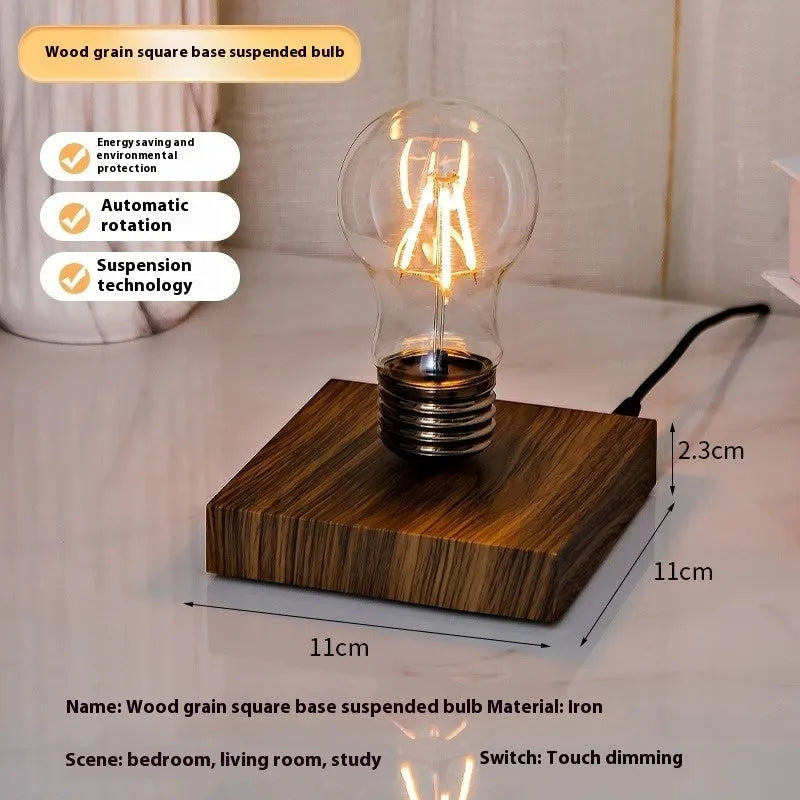 Iron art suspension bulb desktop night lamp on black square base