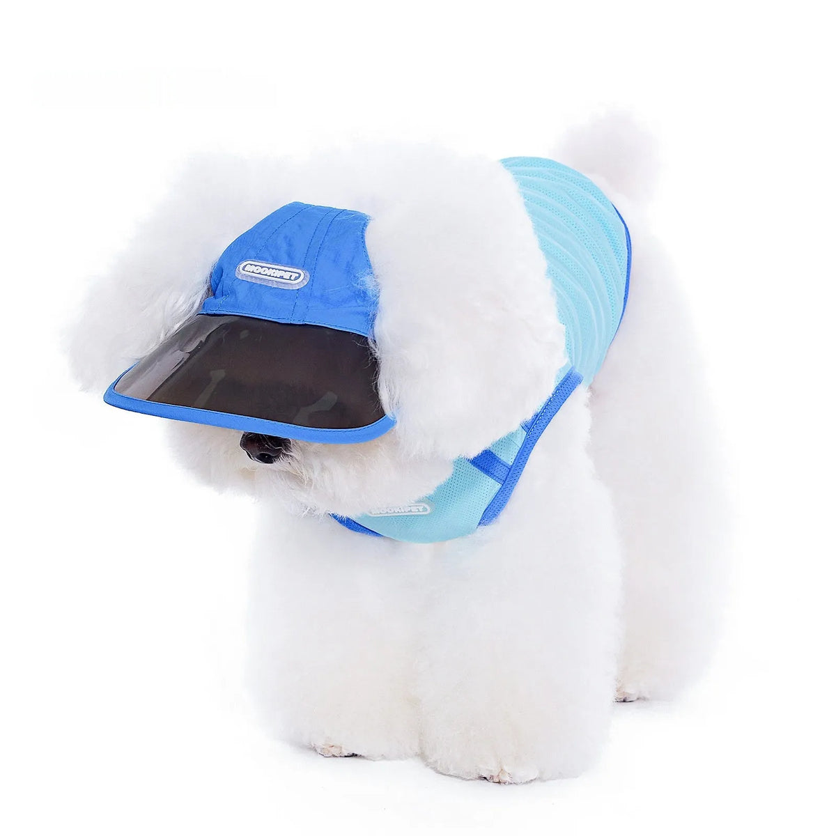 Blue 100% nylon dog hat for spring and autumn, shown in sizes S, M, and L
