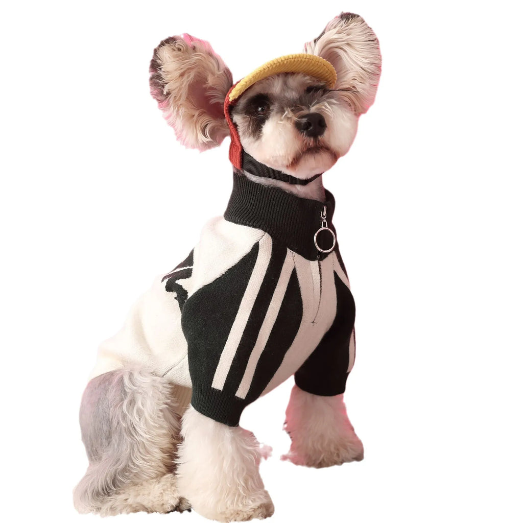 Red wool sports cardigan for medium-sized dog on mannequin showing casual pet clothing design