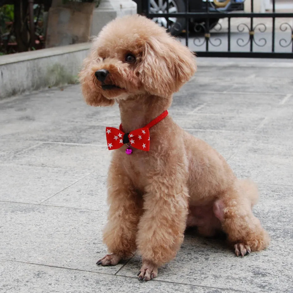 Pet bow tie with copper bell and adjustable neck strap up to 56 cm in polyester material