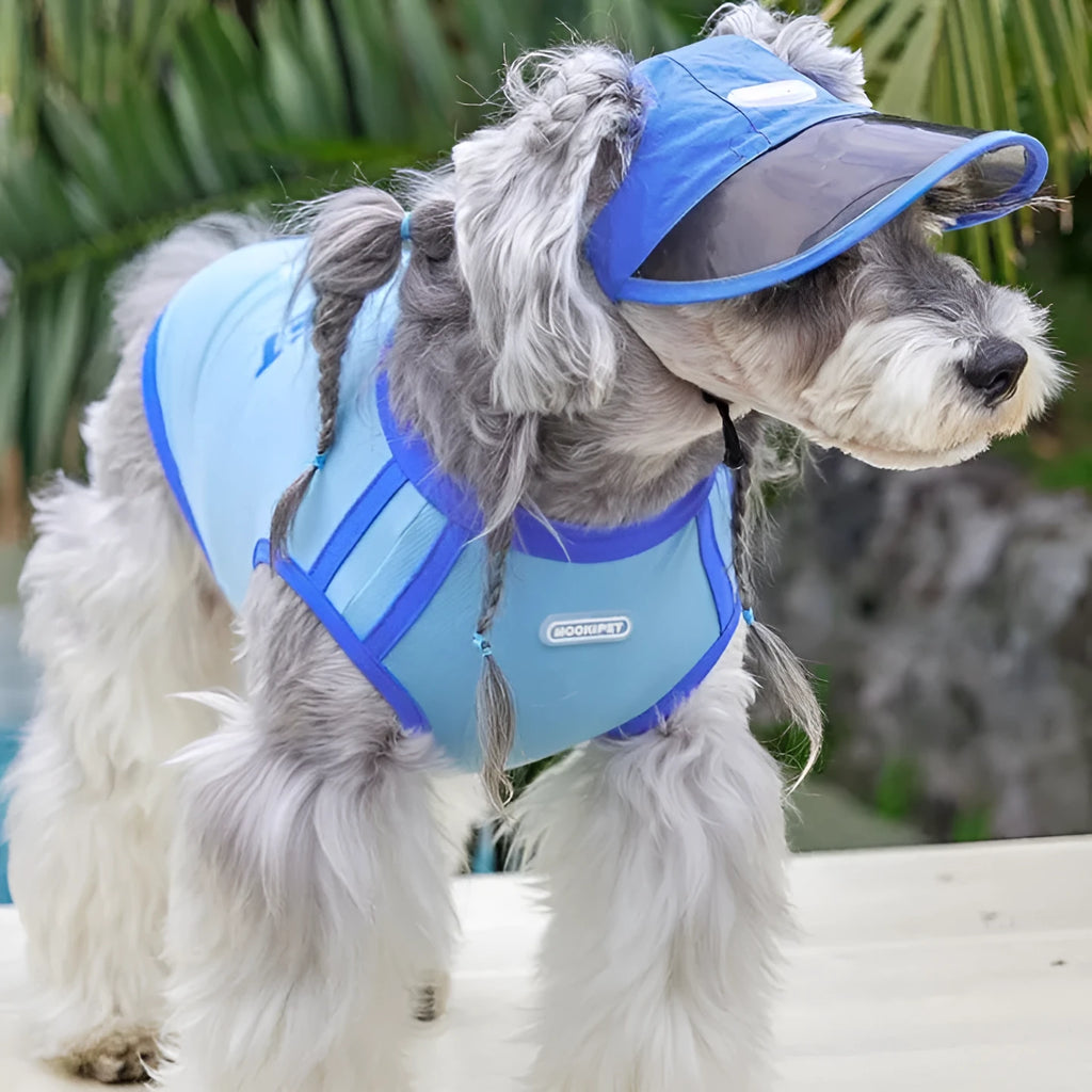 Blue 100% nylon dog hat for spring and autumn, shown in sizes S, M, and L