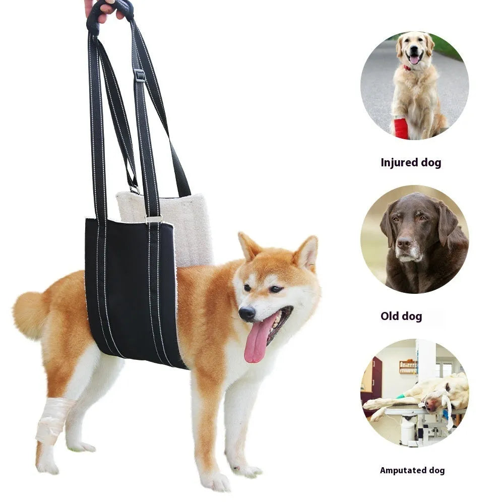 Black teddy plush adjustable dog rehabilitation training belt in sizes S M L XL with auxiliary tape