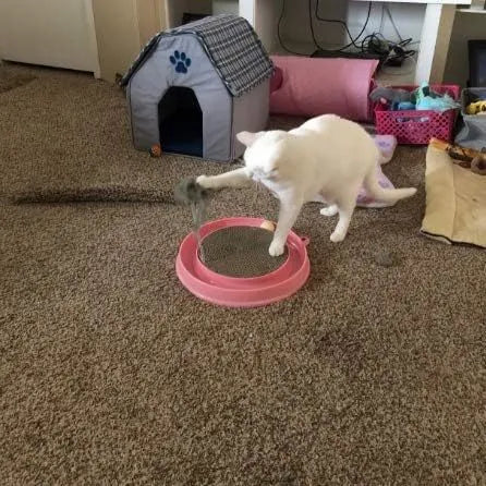 Round blue cat scratcher with ball track and central cardboard scratching pad for furniture protection