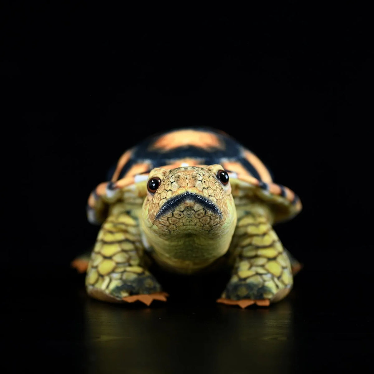 35cm simulation tortoise plush toy in tortoise colour showing realistic design and soft texture