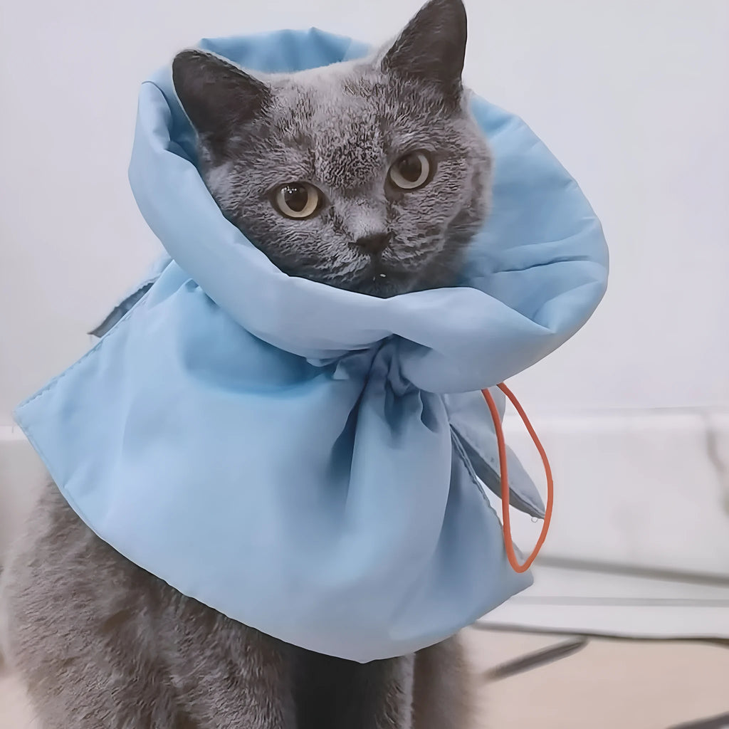Soft adjustable polyester cat recovery collar in light blue shown on a model.