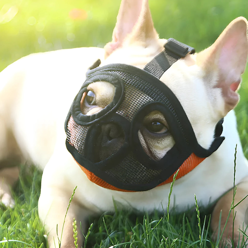 Hoopet breathable mesh dog muzzle for flat snout French Bulldog in black adjustable size