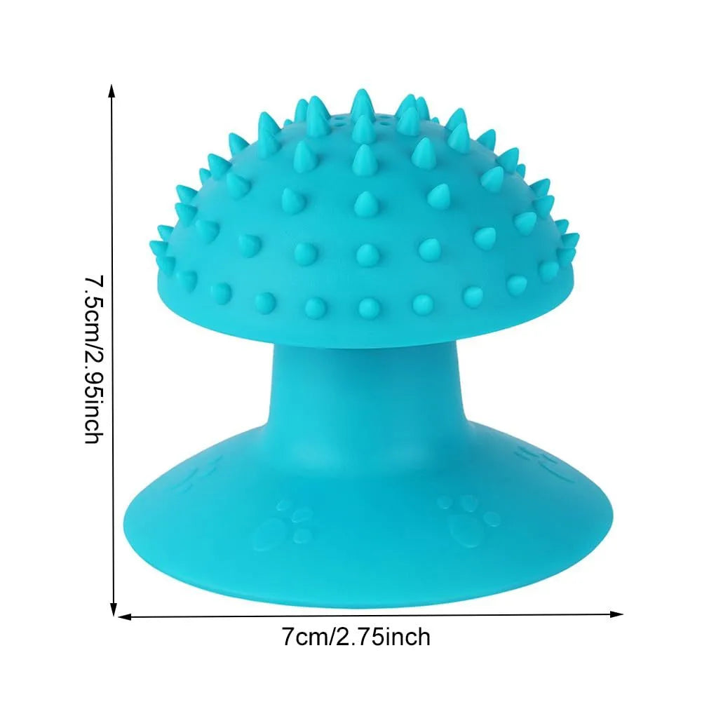 Wall-mounted cat self groomer in blue with brush head and catnip compartment for loose fur removal