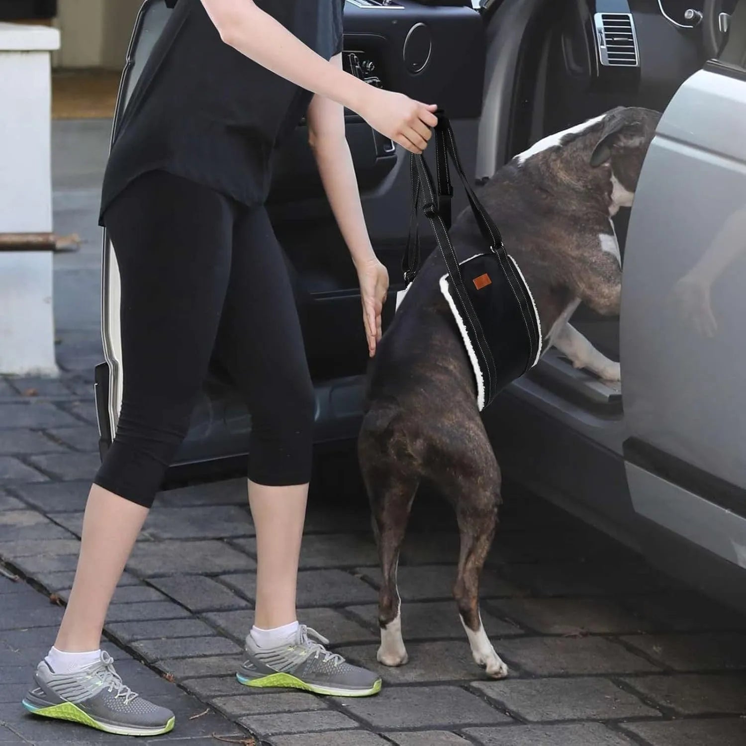Adjustable dog hip support sling with nylon straps and soft lining for hind leg mobility assistance.