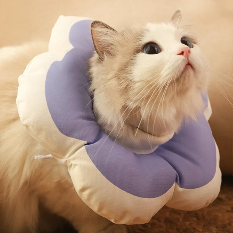 Blue cotton cat recovery collar with flower design, shown in size M.