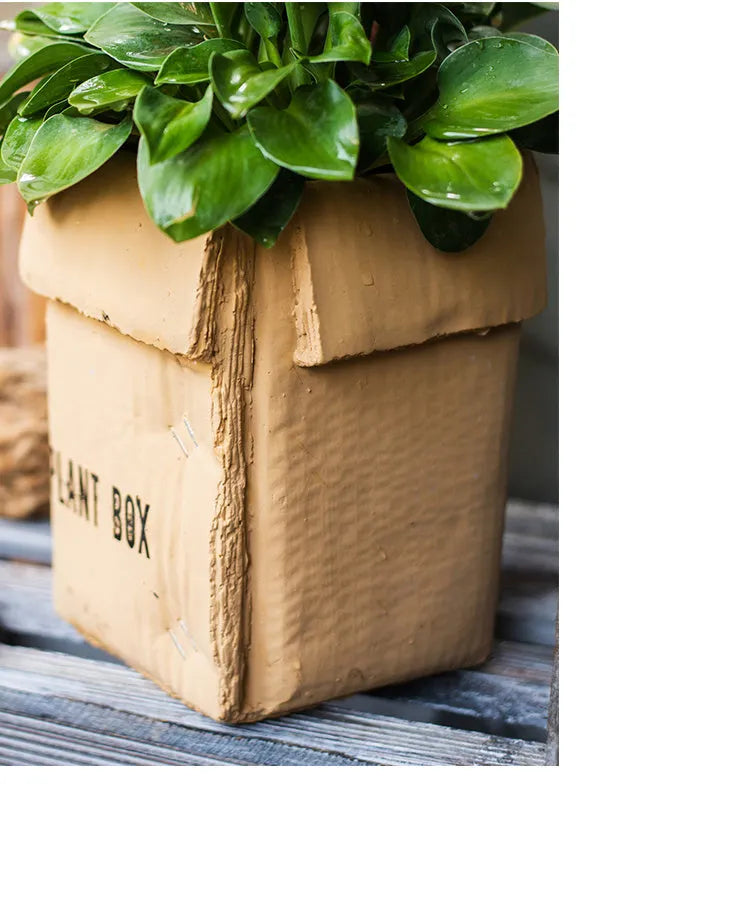 Cement paper box style flowerpot with bottom drainage holes for indoor planting