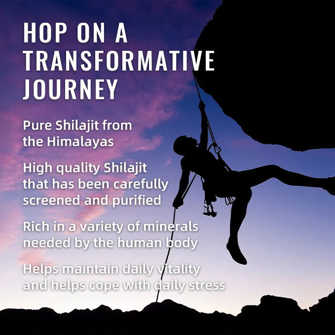 BSYS Shilajit Gummies 60's bottle containing 60 chewable shilajit gummies