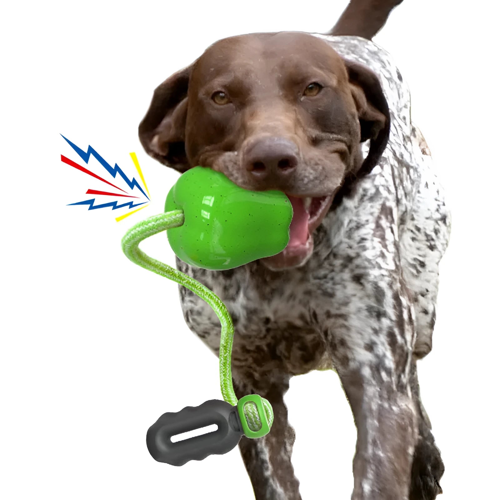 Green apple-shaped plastic dog chew toy with hollow treat-dispensing design