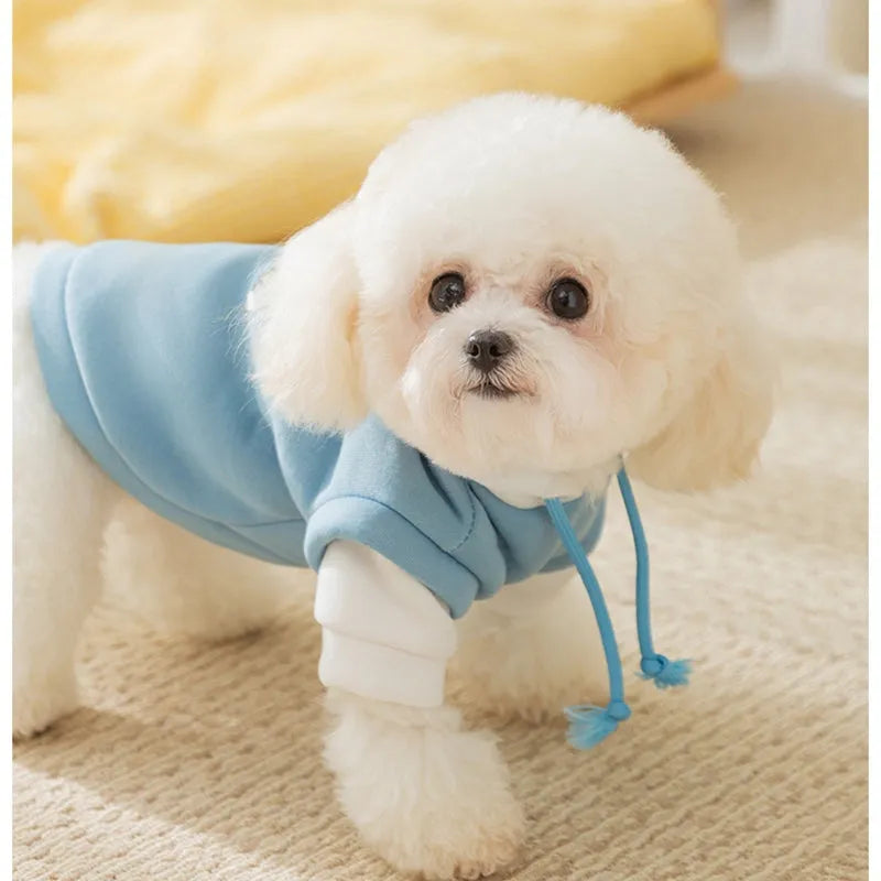 Blue thin fleece pet hoodie with white drawstring hood and cute cartoon dog graphic, sizes XS to XXL
