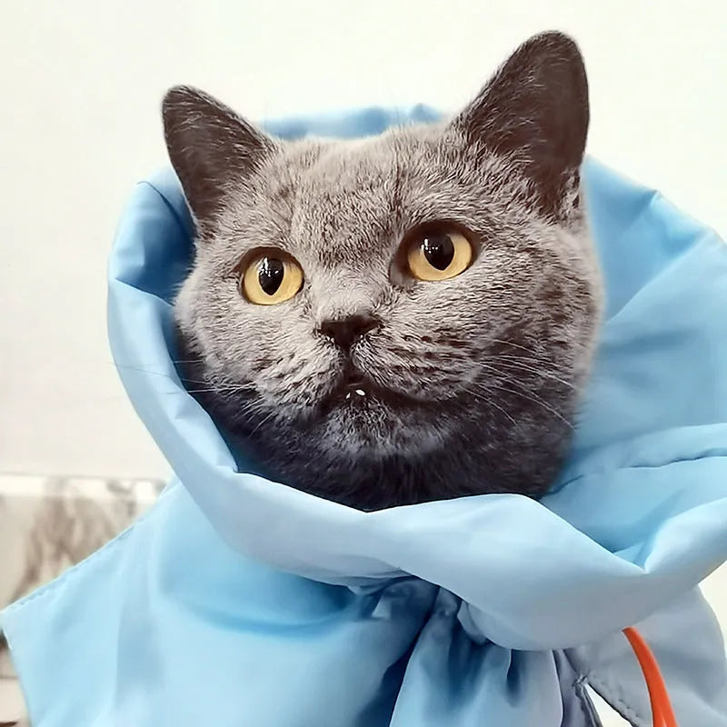 Soft adjustable polyester cat recovery collar in light blue shown on a model.