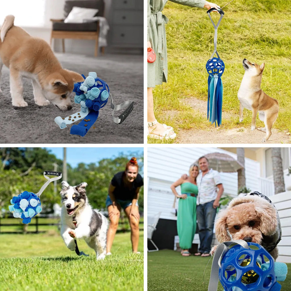 Interactive hollow TPR bell toy ball for dogs and cats in green colour on a surface