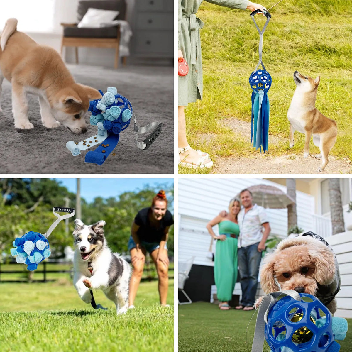 Interactive hollow TPR bell toy ball for dogs and cats in green colour on a surface