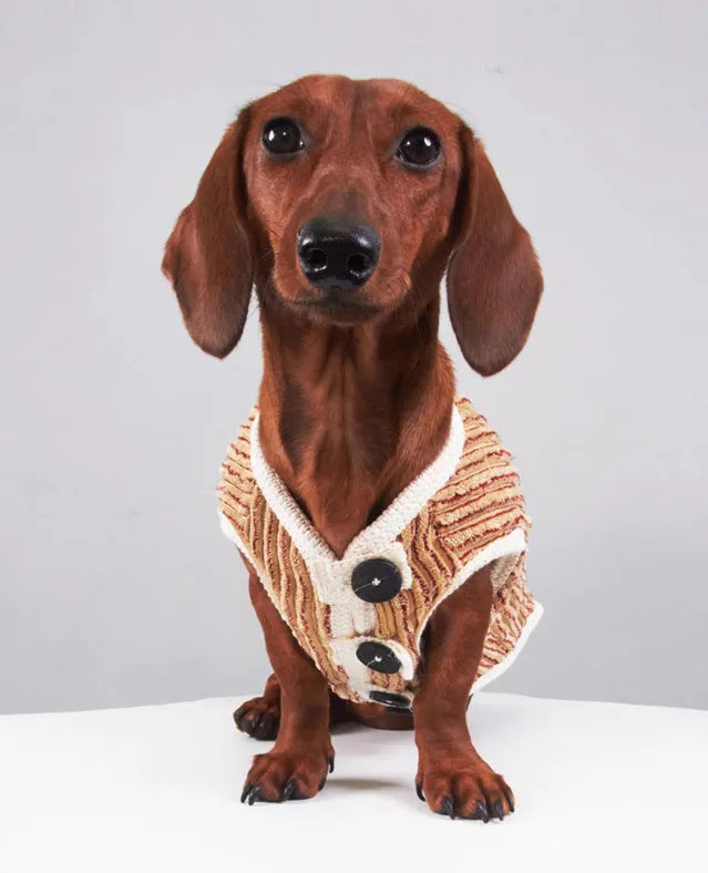 Brown striped dog hoodie for small breeds, sizes M to 2XL, spring autumn pet clothing