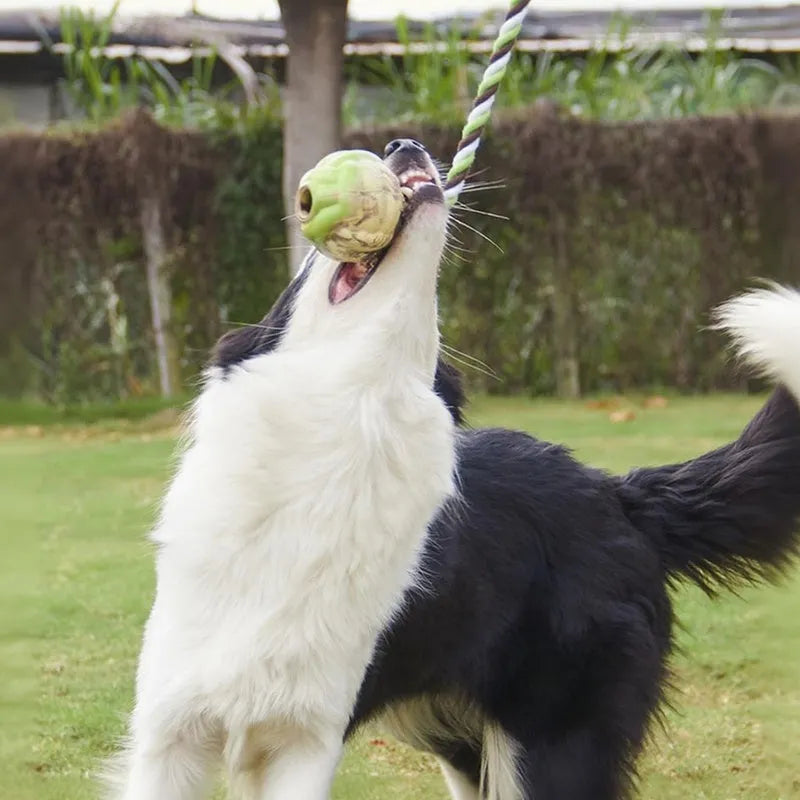 Ball knot dog toy with rubber ball and long rope for tug-of-war, available in Big and Small sizes.