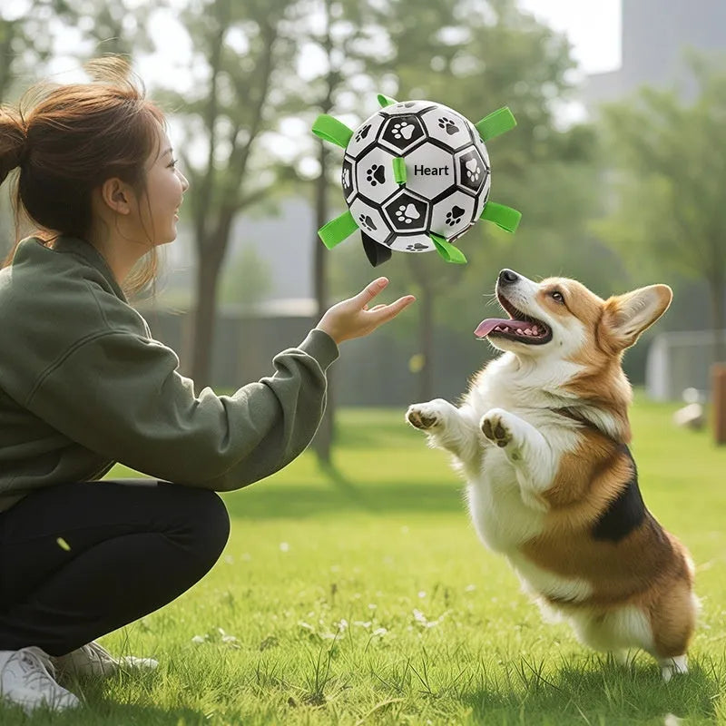 PVC dog toy ball for chewing and fetching with sounding feature, small and medium sizes