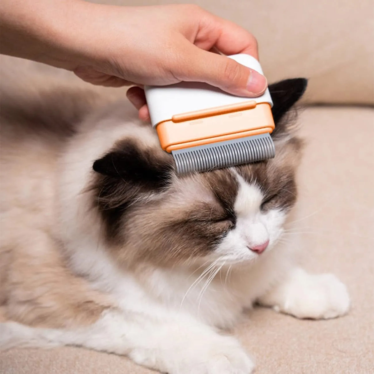 Blue double-sided pet grooming comb with stainless steel teeth and soft bristles on a white background.