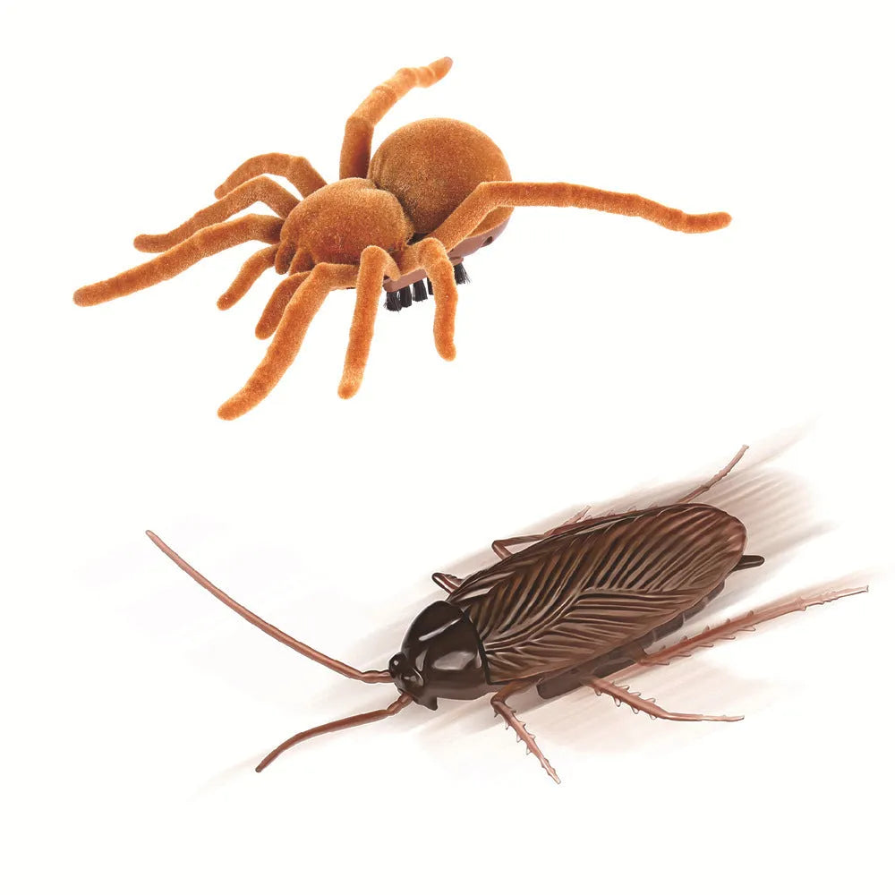 Electric vibration pet toy showing cockroach, dragonfly, tarantula and mouse designs