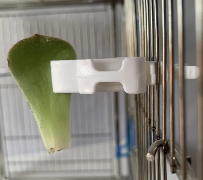 Plastic parrot fruit basket feeder with two vegetable clips for holding fresh produce in a cage or aviary